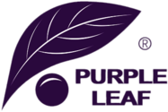 Purple Leaf 