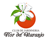 Flor del Naranjo