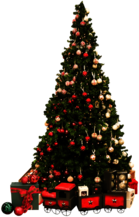 Christmas Tree and Gifts