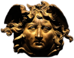 Medusa Head