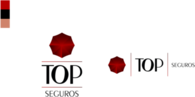 Top Seguros