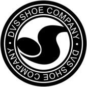 DVS Shoe