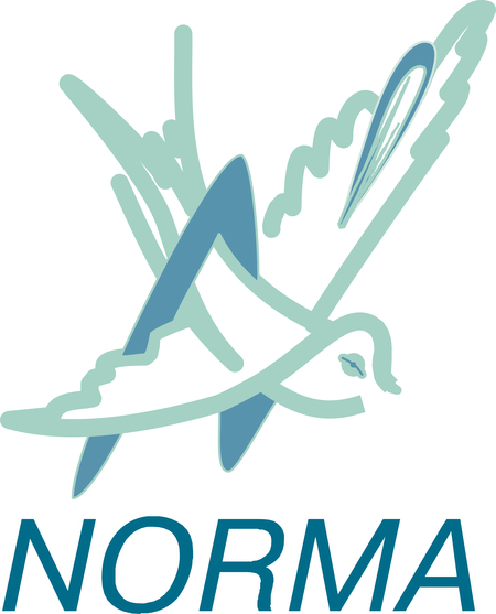 Norma