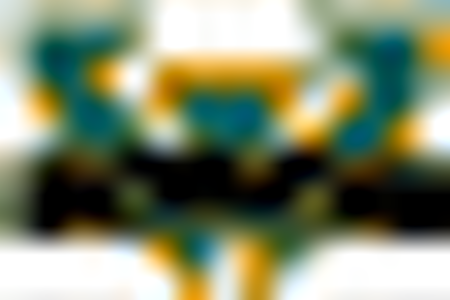 Wayne State Warriors