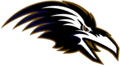 Baltimore Ravens 43087