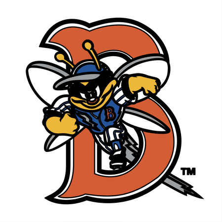 Binghamton Mets