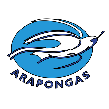 Associacao Atletica Arapongas De Arapongas Pr