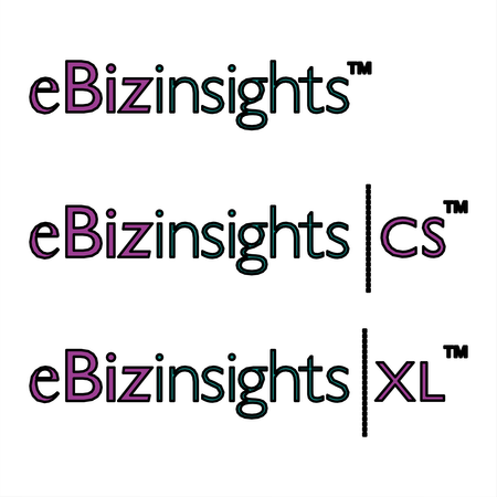 Ebizinsights