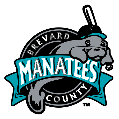 Brevard County Manatees
