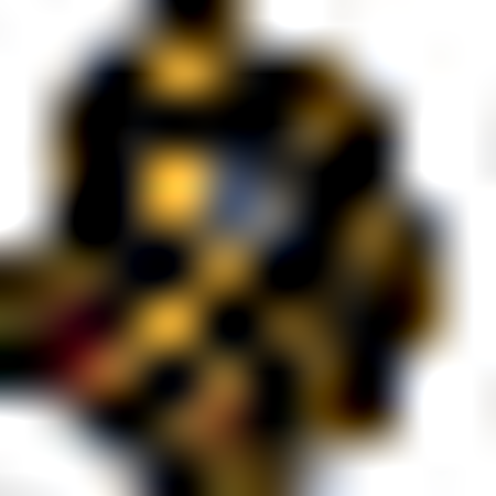 Minnesota Duluth Bulldogs