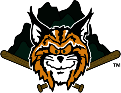 Lynchburg Hillcats