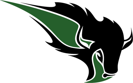 Oklahoma Baptist Bison