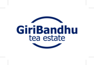 GiriBandhu Tea Estate