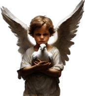 Cherub Holding a Peace Dove