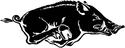 Arkansas Razorback