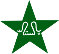 Pakistan cricket team 