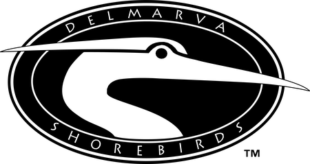 Delmarva Shorebirds