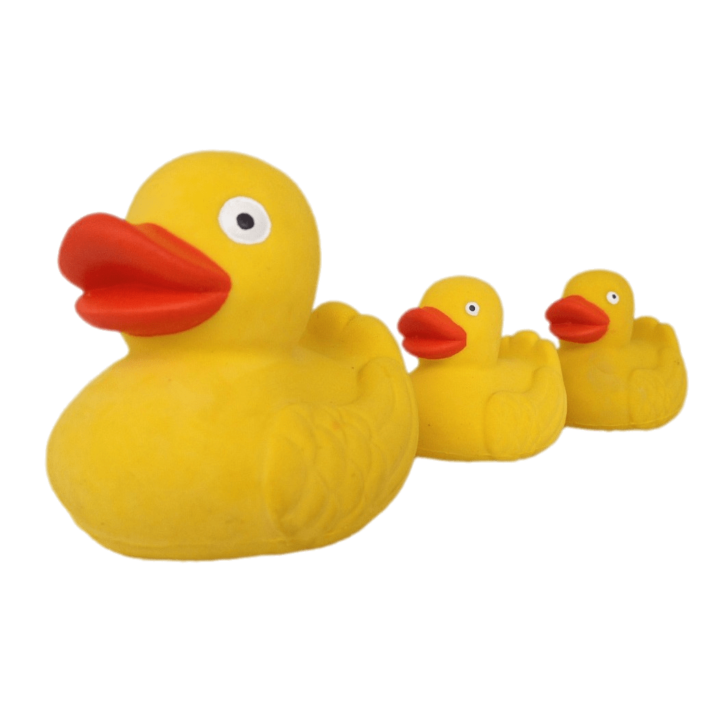 Rubber Duck Family