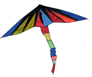Umbrella Kite