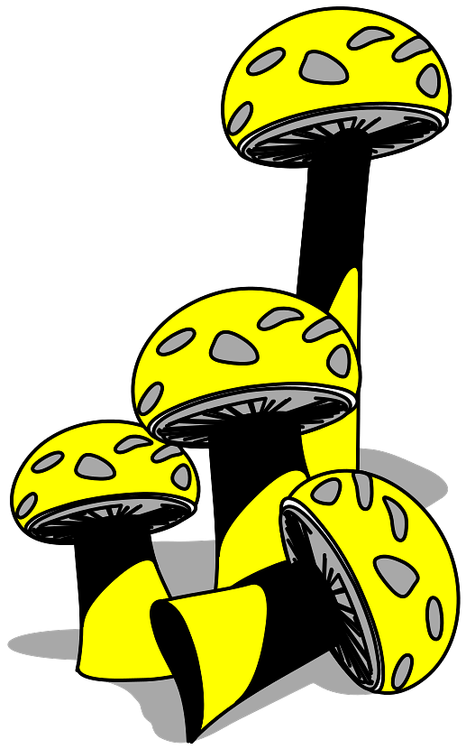 Yellow and Grey Mushrooms