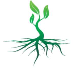 Roots Colour Illustration