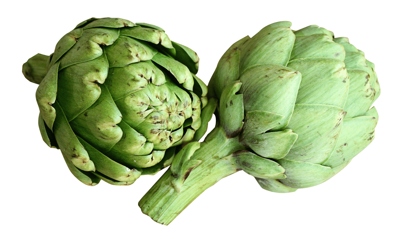 Artichoke