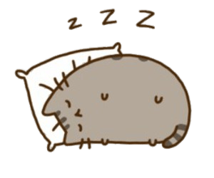 Pusheen Sleeping