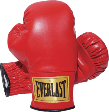 Everlast Boxing Gloves