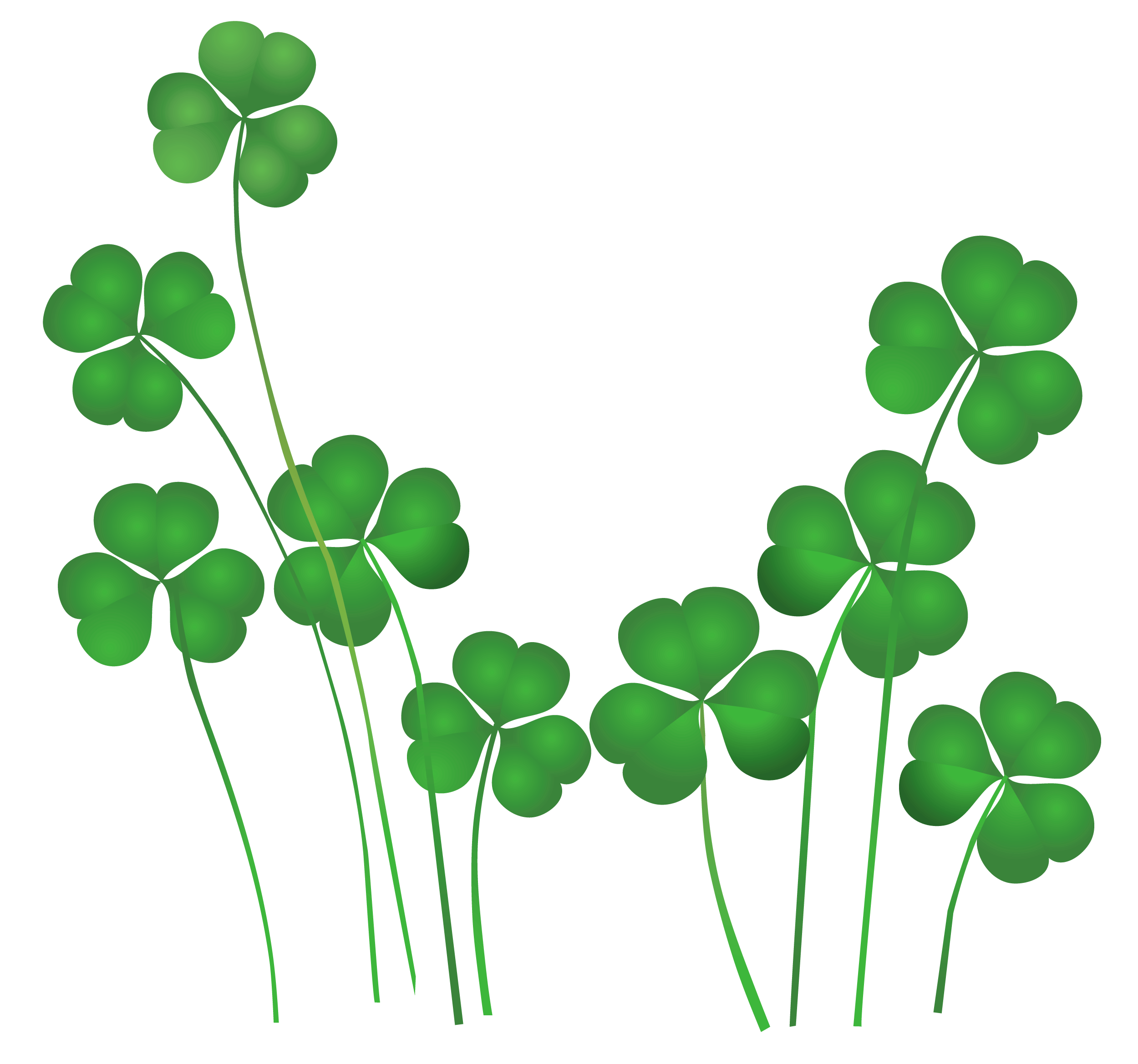 St Patrick's Day Shamrocks