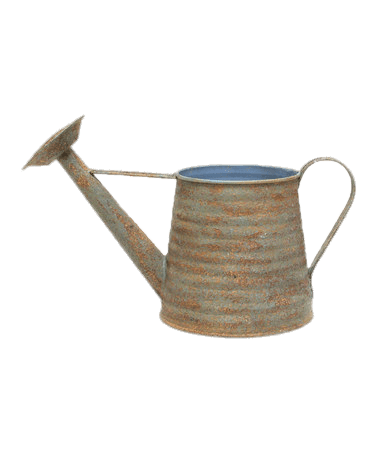 Rusty Watering Can
