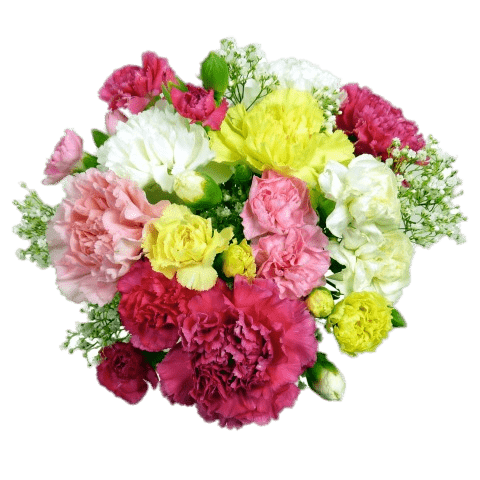 Classic Carnations Bouquet