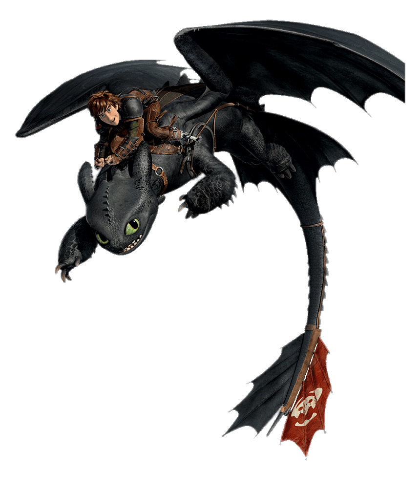 Night Fury and Rider