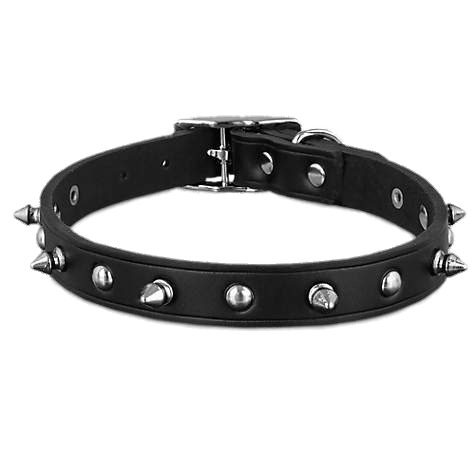 Black Leather Spike Dog Collar