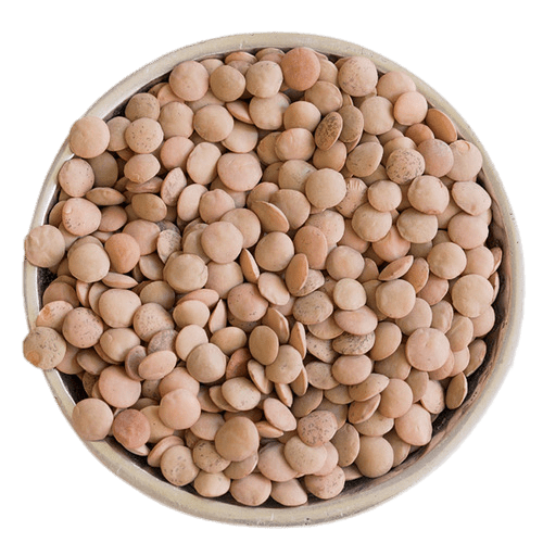 Bowl Of Brown Lentils