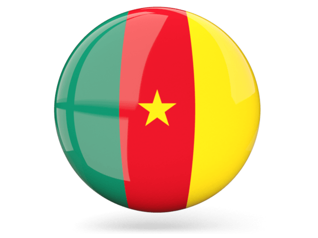 Cameroon Icon Flag