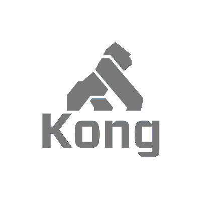 Kong grey 