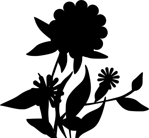 Several Flowers in the Wild