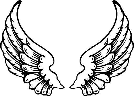 Black and White Illustration of Angel Wings