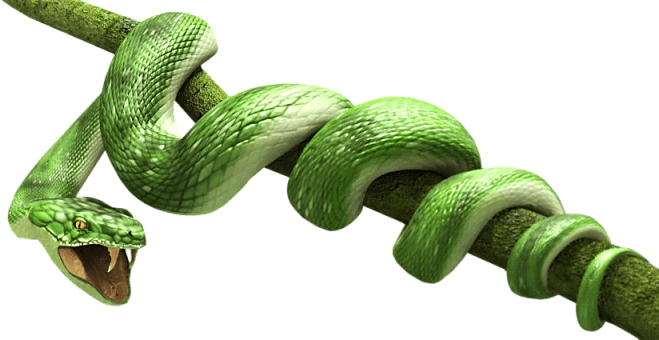 Green Snake
