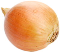 Single Onion