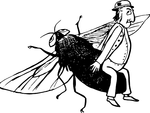 Edward Lear Drawing On Fly's Back