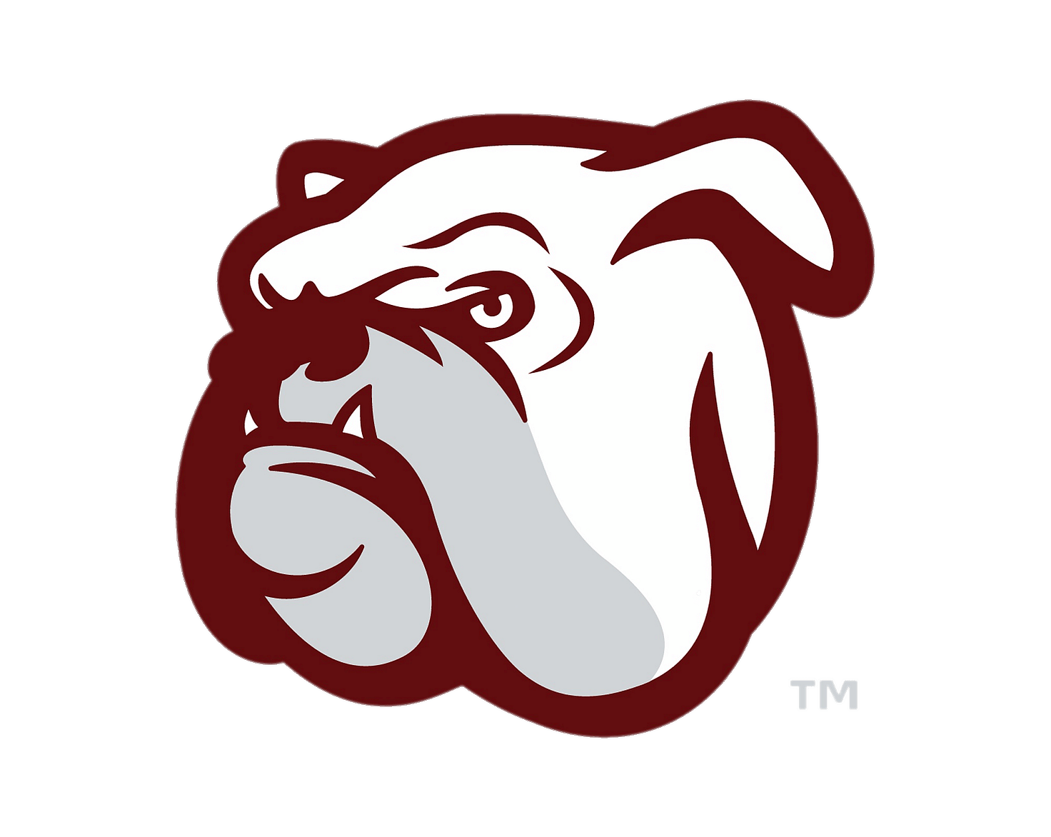 Mississippi State Bulldogs Head