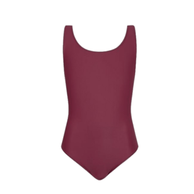 Purple Swimming Suit