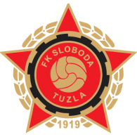 FK Sloboda Novi Kozarci