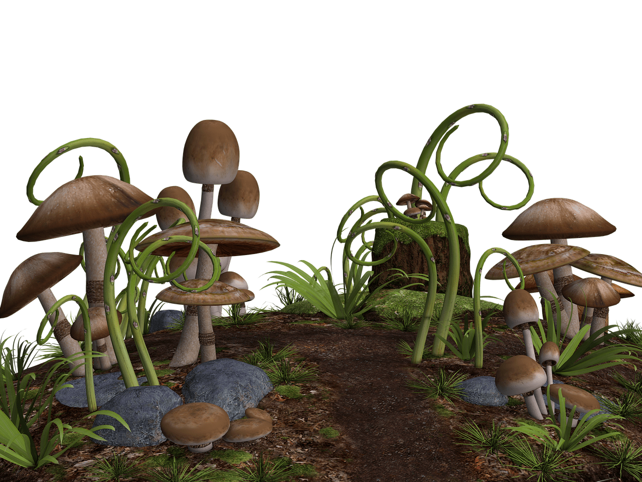 Mushrooms Along Path
