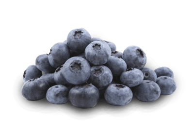 Little Stack Of Blueberries