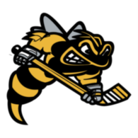 Sarnia Sting