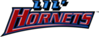 Delaware State Hornets
