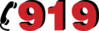 919