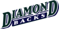 Arizona Diamond Backs 73334
